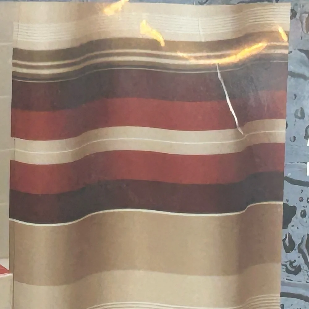 Shower Curtain NEW